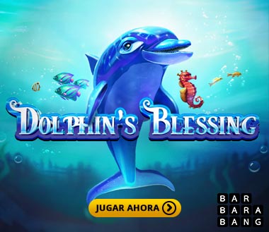 Dolphins Blessing