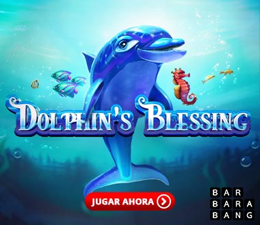 Dolphins Blessing